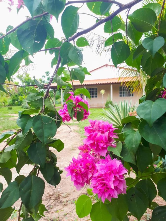 Sitio Rupestre Peruacu Holiday home