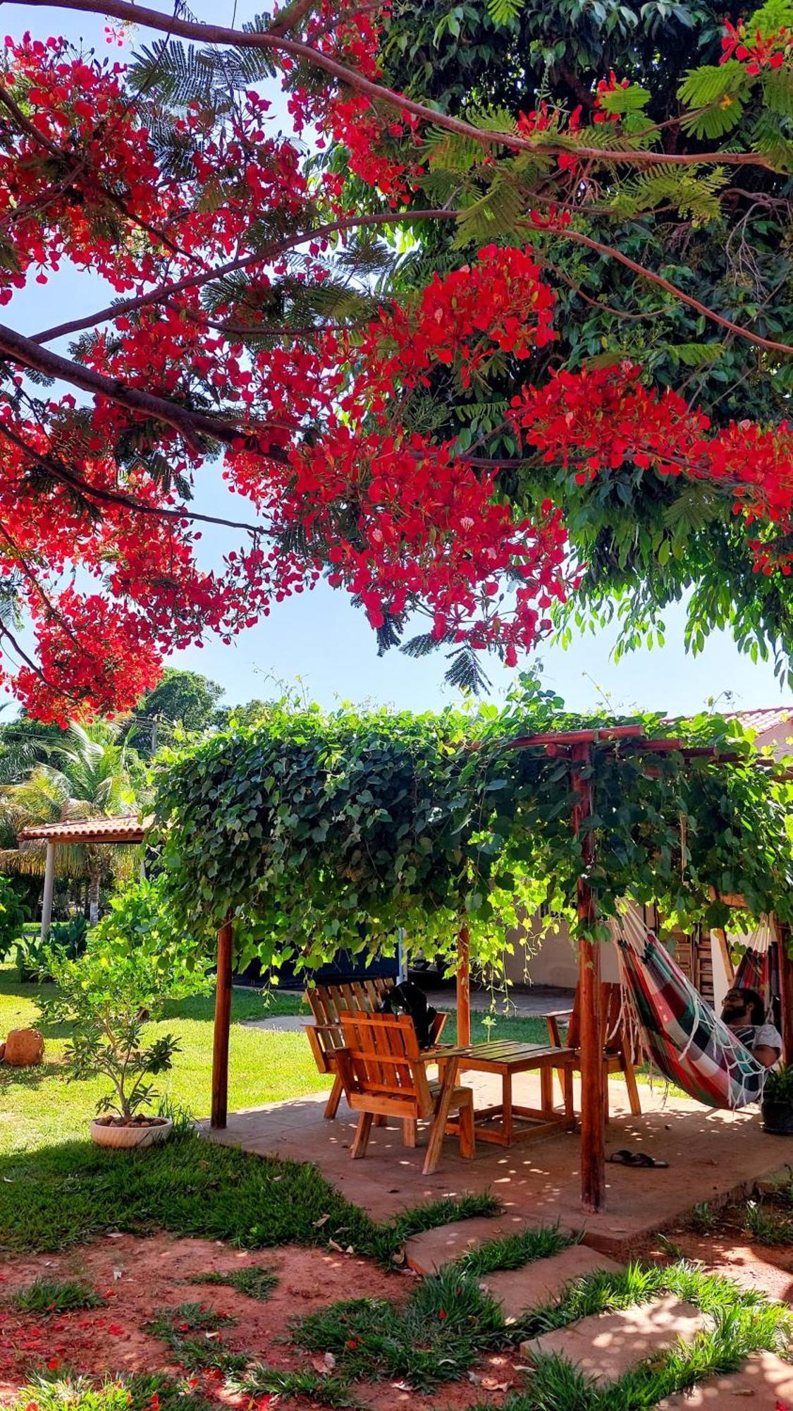 Sitio Rupestre Peruacu Holiday home *